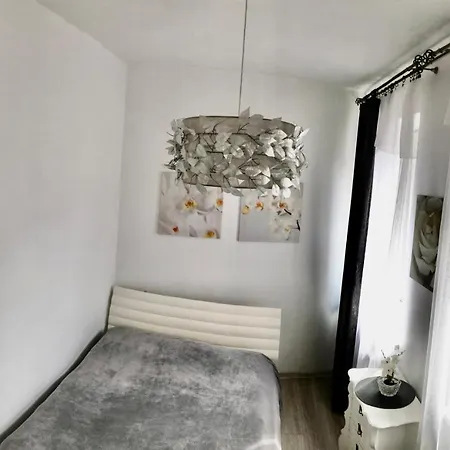 Cozy In The Oldtown Apartment