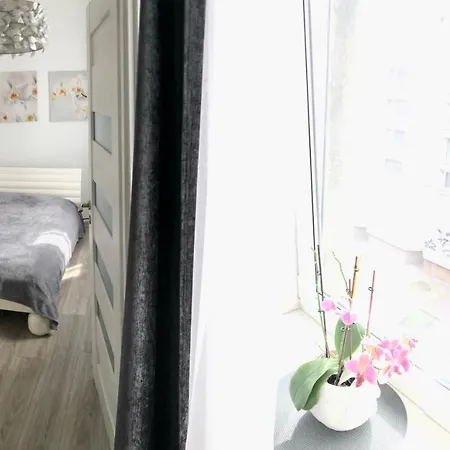 Cozy In The Oldtown Apartment *